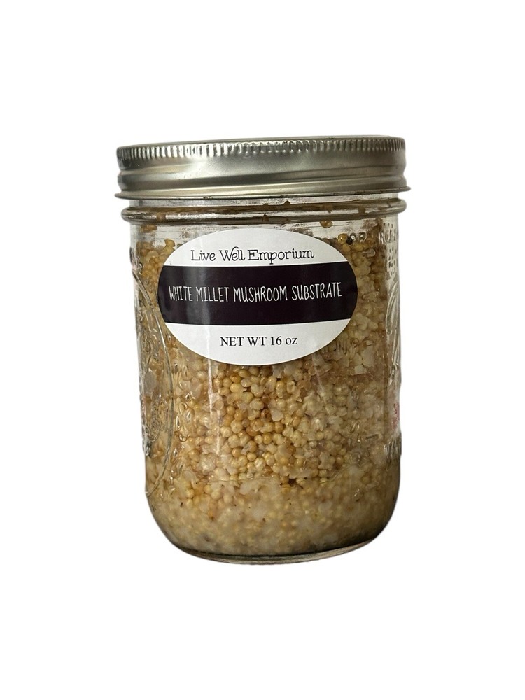 Sterilized MILLET Jars For Mushroom Inoculation FOUR(4) Count