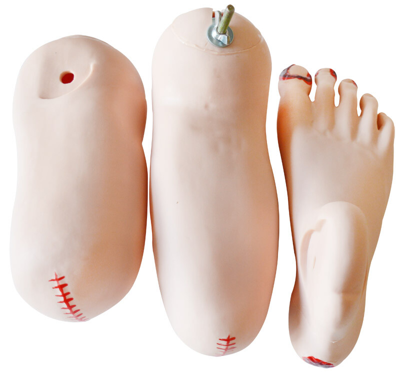 Patient Care Manikin Model Advanced Multifunctional Study Training Mannequin