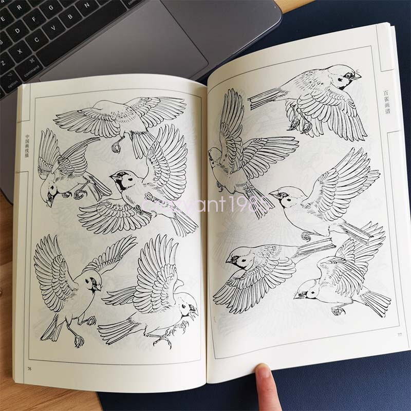Hundred of Sparrows Drawing Sketch Line Draft Tattoo Design Flash Book Reference