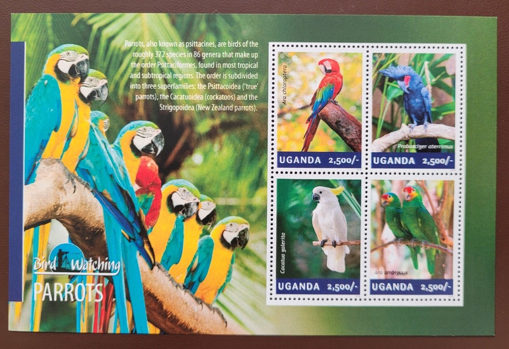 Uganda 2014 / Birds - Parrots  / 4v ms