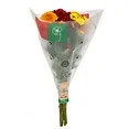 Rainbow Pom Flower Bunch Large