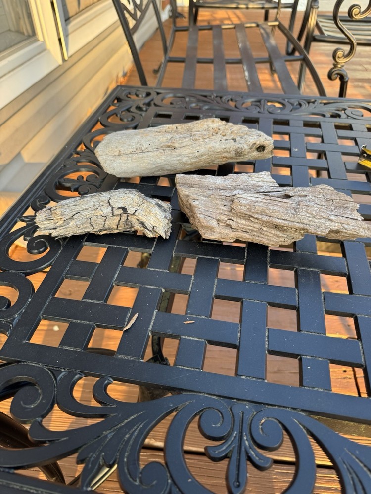 Driftwood