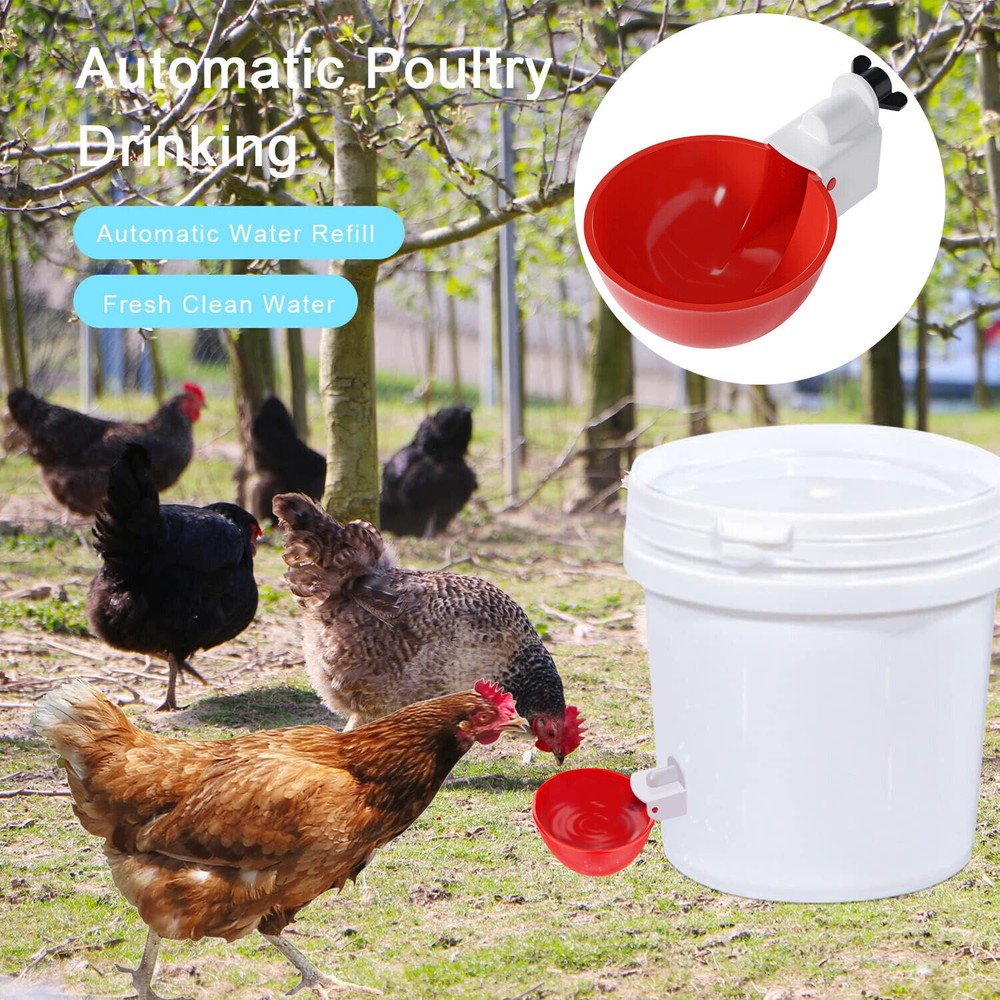 8 PCS Automatic Waterer Poultry Chicken Water Cup Feeder Drinker Drinking Bowl