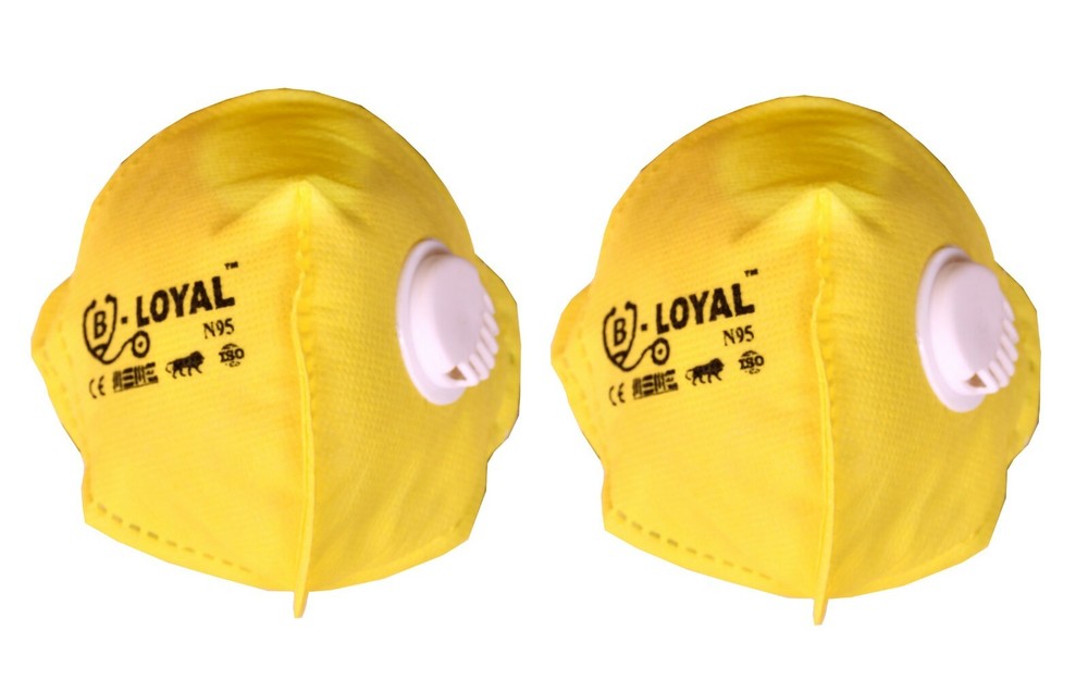 Loyal Flat Fold Respirator Mask (PACK OF 20)