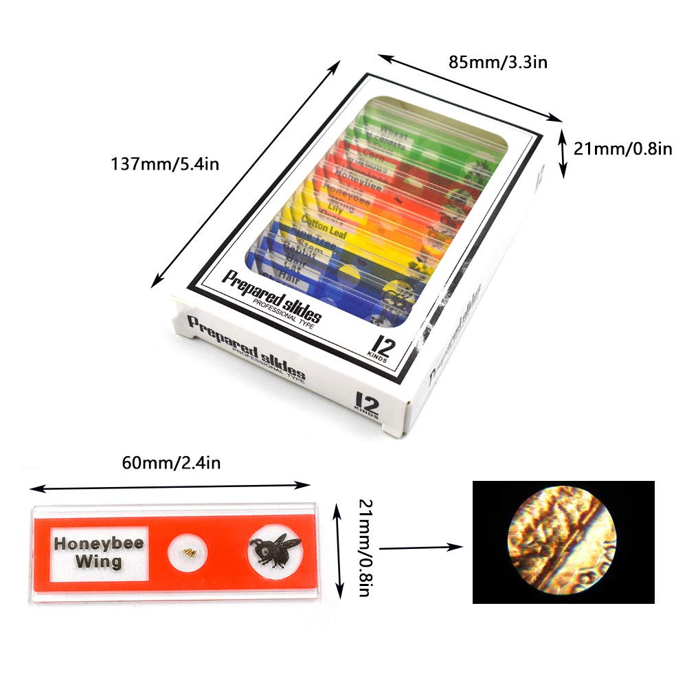 Prepared Microscope Slides Set, 48Pcs Plastic Animals Insects Plants Specimens
