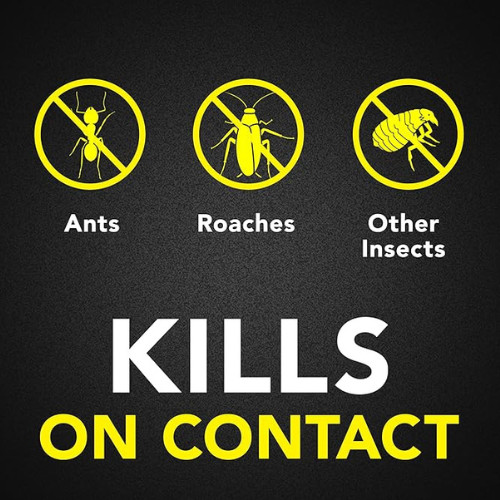 Raid Ant & Roach Killer, Fragrance Free Bug Killer for Home Use, Kills Bugs on C