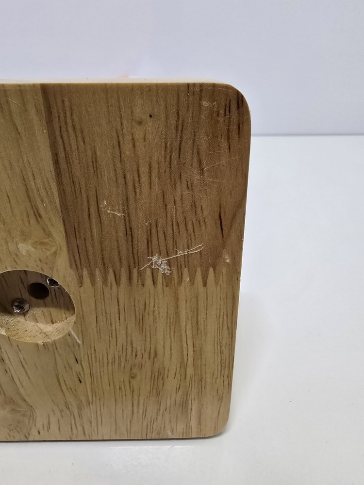 Evotech Mini Human Torso 10 inch Science Learning School