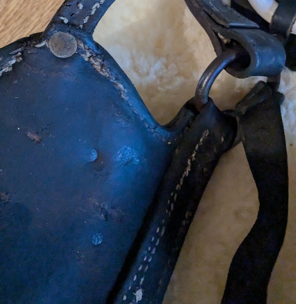 Vintage Driving Bridle
