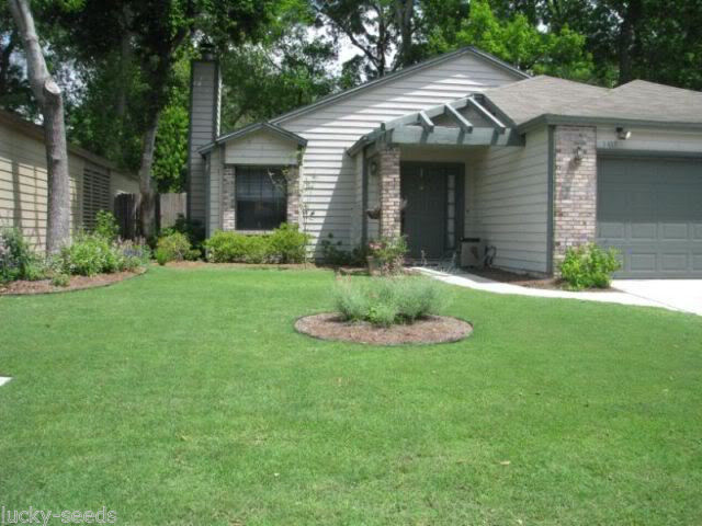 (On Backorder until 2026) Pennington Mohawk Bermuda Grass Seed - 1/2 Lb.