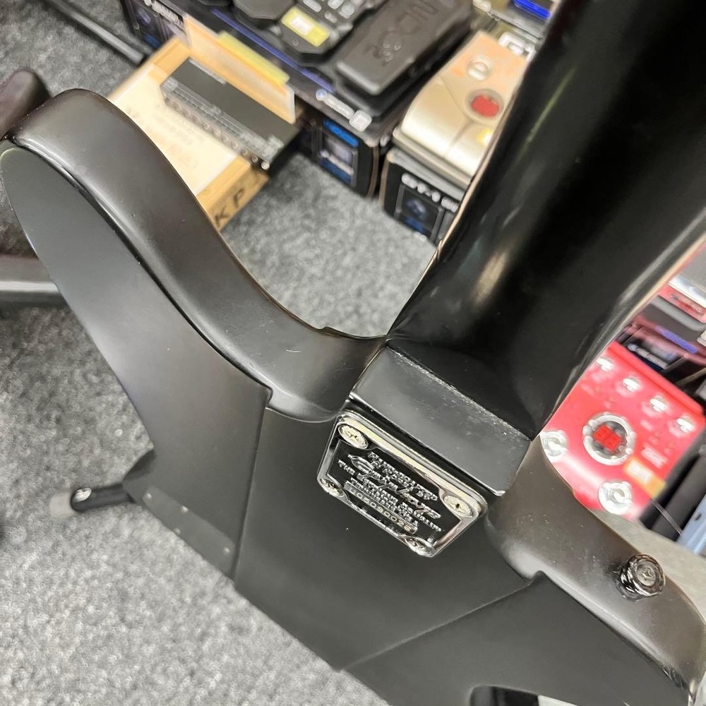 Epiphone Thunderbird GOTH black Safe Packing!