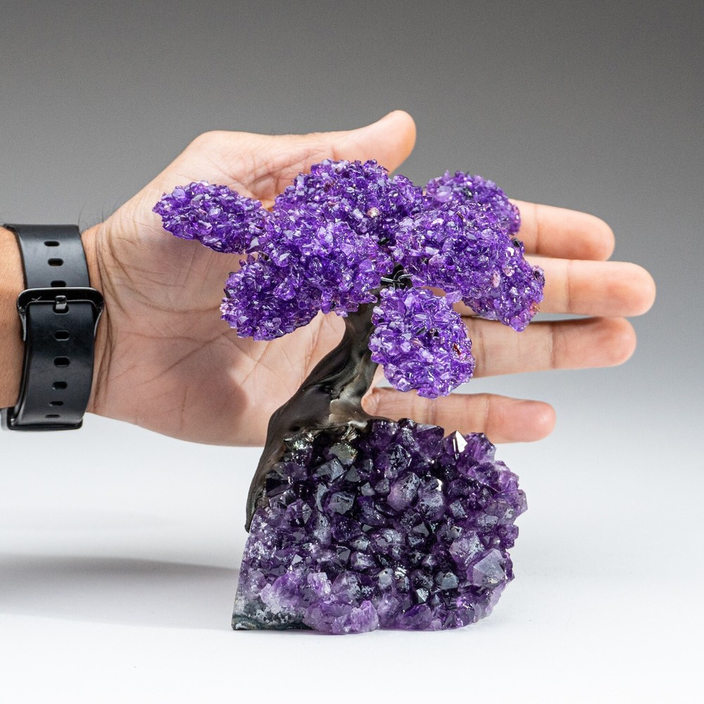 Medium - Amethyst Clustered Gemstone Tree on Amethyst Matrix