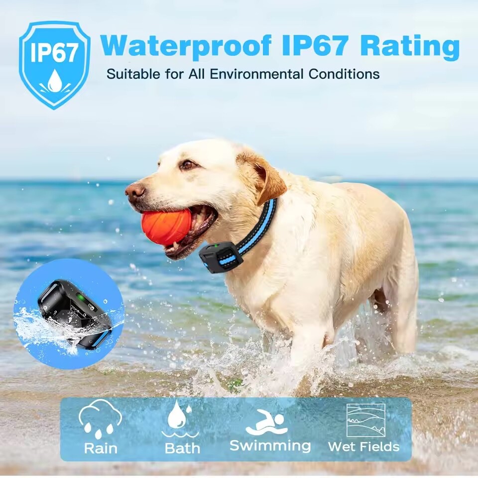 Remote Dog Training Collars: Control, Correct, Communicate"Training Solutions