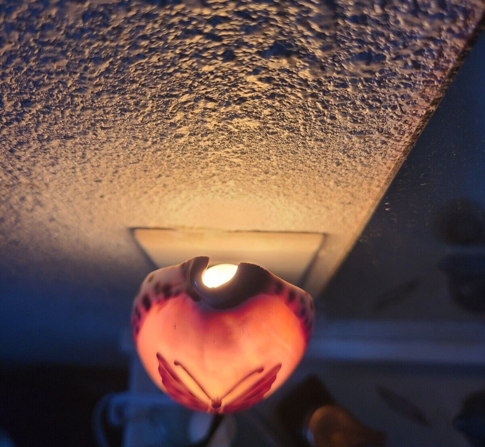 Vintage Seashell Nightlight With Engraved Butterfly
