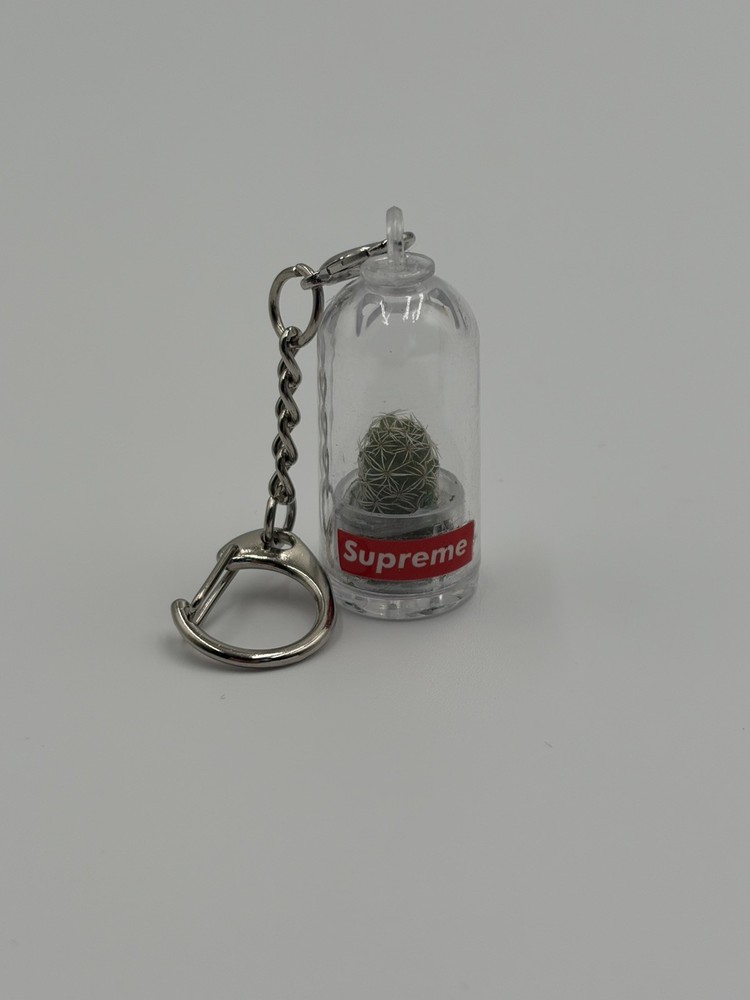 Supreme Cactus Keychain Box Logo SS18