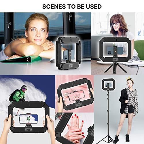 Smartphone Video Rig with Light, Cell Phone Handheld Stabilizer U200 Light