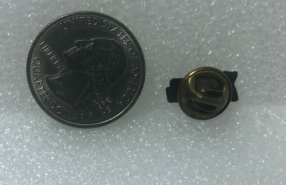 You Can Make It Plastic Pin