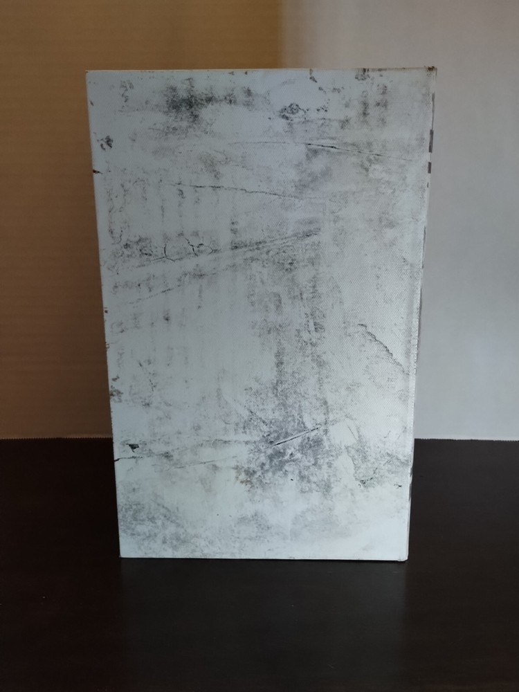 Book Hidden Compartment Safe Box Home Library Shelf “Great Expectations”