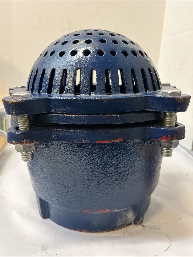 Cast Iron Foot Valve