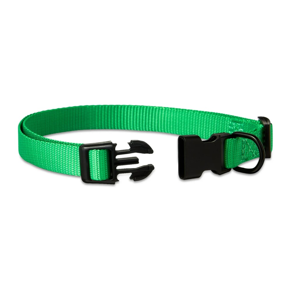Vibrant Life Polyester Adjustable Dog Collar, Green,