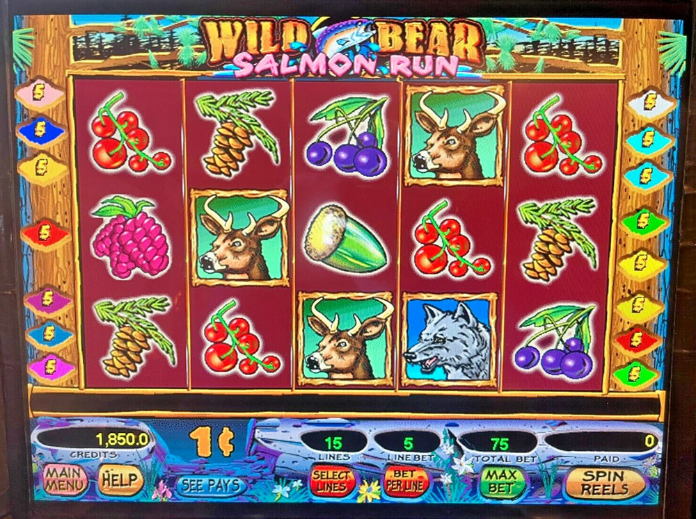 IGT I-game Wild Bear Salmon Run Software
