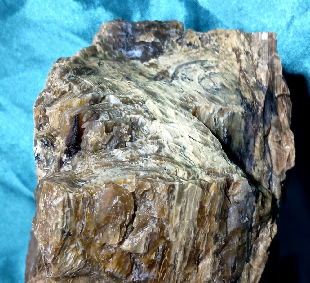 Opalized Petrified Wood Display Specimen WA State 7 LB 8 OZ