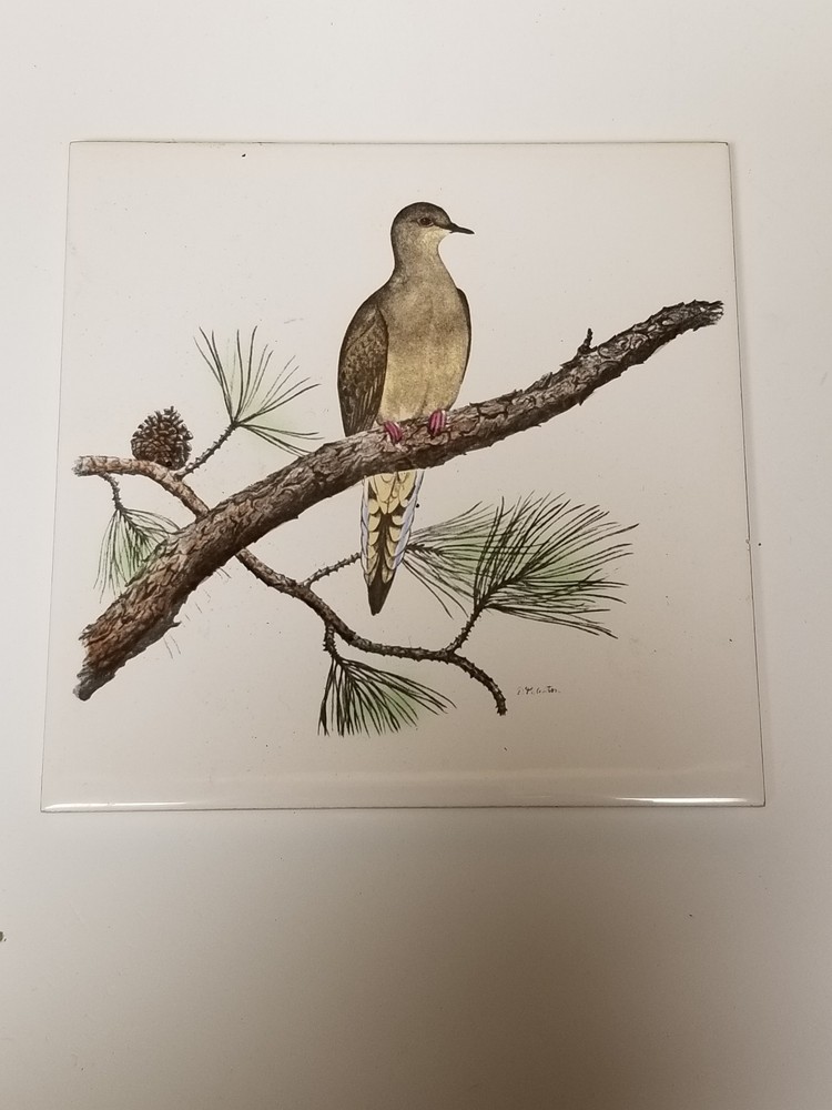 Vintage 6" Ceramic Tile Mourning Dove