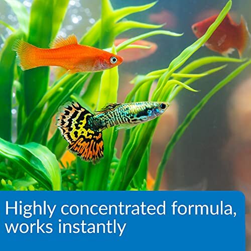 API Aqua Essential Water Conditioner 16oz Dechlorinator Ammonia Remover