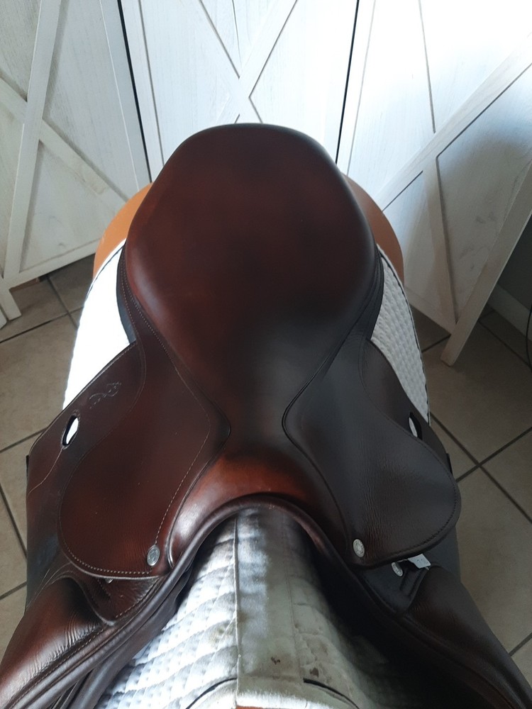 Antares Evolution Jump Saddle 17.5"