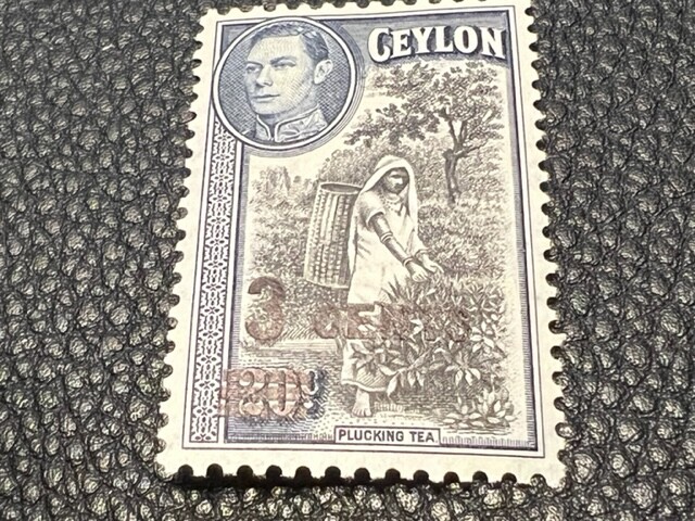 Ceylon 290 MH