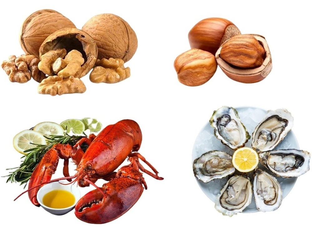 Nutcracker & Seafood Cracker Set Includes 2 Picks Nuts & Shellfish Nut Cracker