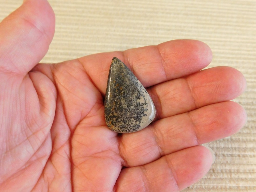 Dinosaur Bone Cabochons - 4 pcs