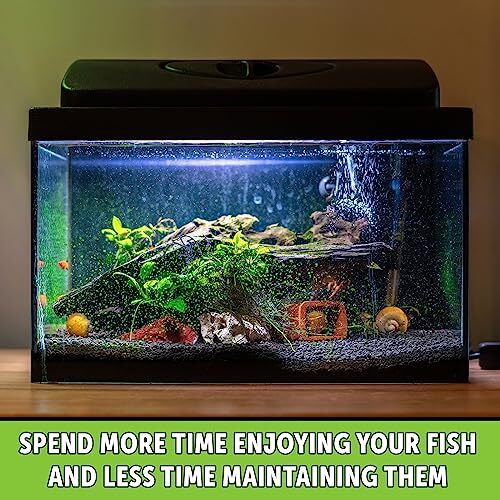 Python No Spill Clean and Fill Aquarium Maintenance System, Assorted Sizes