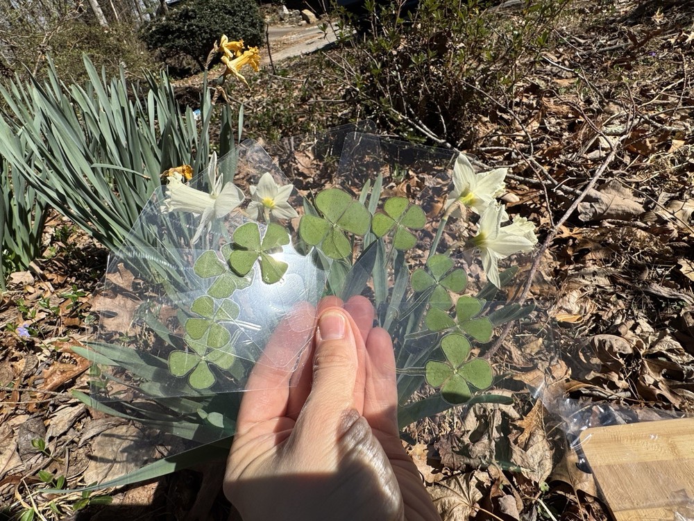 4 Leaf Clover Clear Bookmark Medium Size