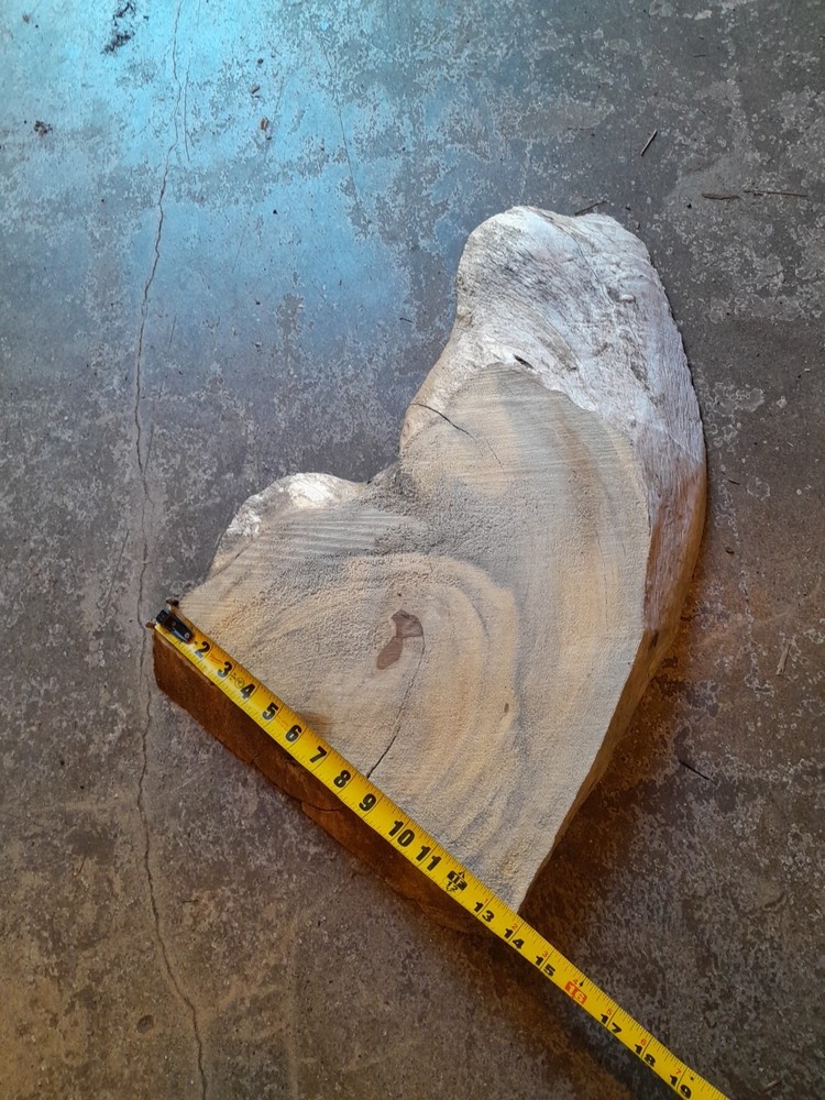 2 Inch Thick Live Edge Maple Slice