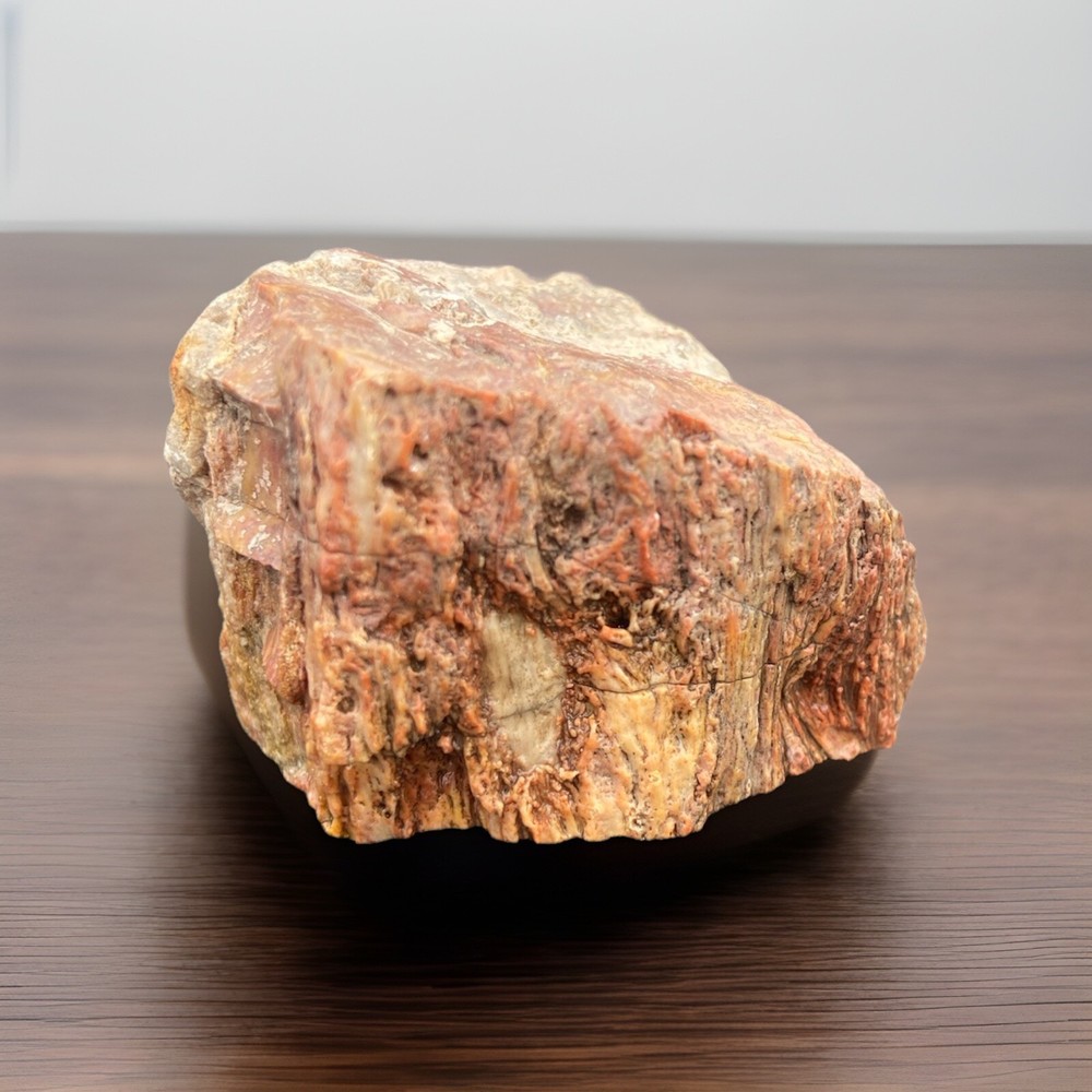 Textured Red Petrified Wood 2 Oz