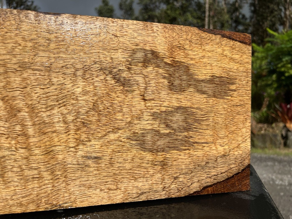Hawaiian Curly Mango Board #12180