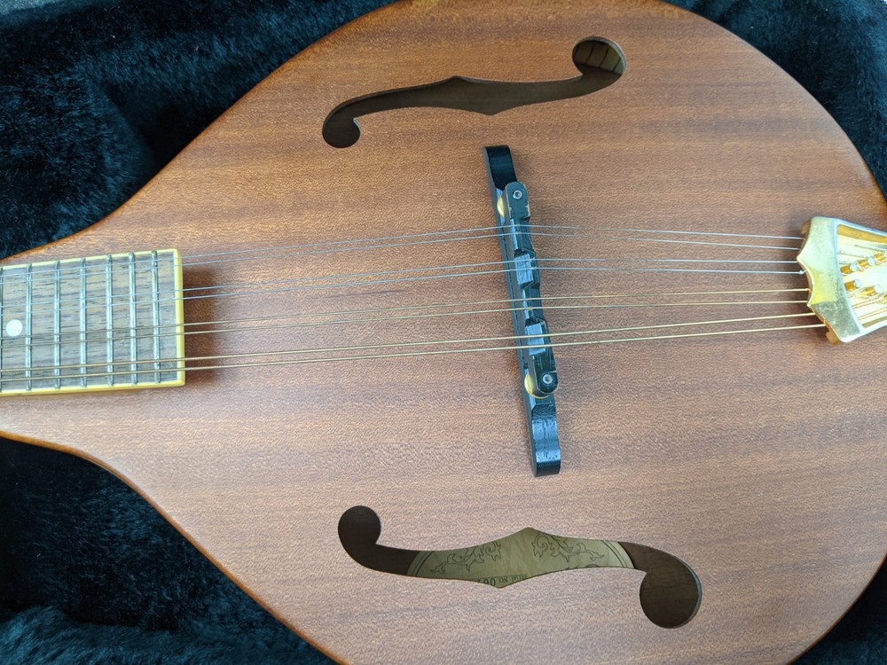 MORGAN MONROE MANDOLIN Model # MAM-200 With Case