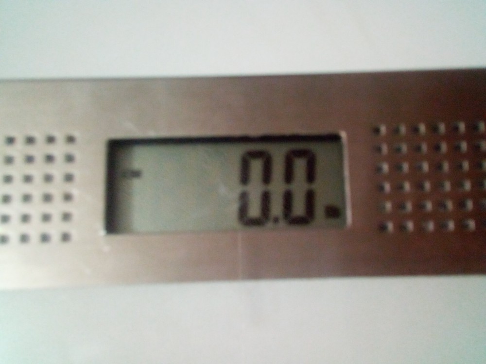 Taylor 70844191M Talking Digital Scale 440 lbs Capacity
