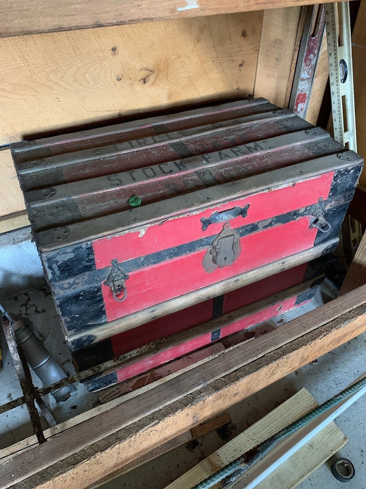 TREASURE CHEST TRUNK STORAGE BOX