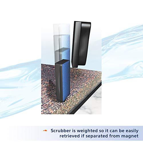 Aqueon Algae Cleaning Magnets Glass/Acrylic Medium Assorted Sizes