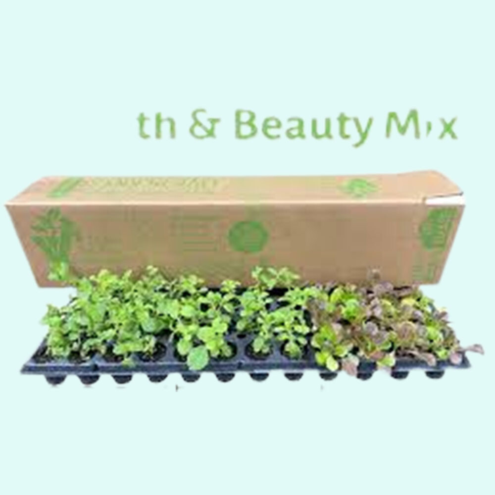 Special Packing For Live Plants