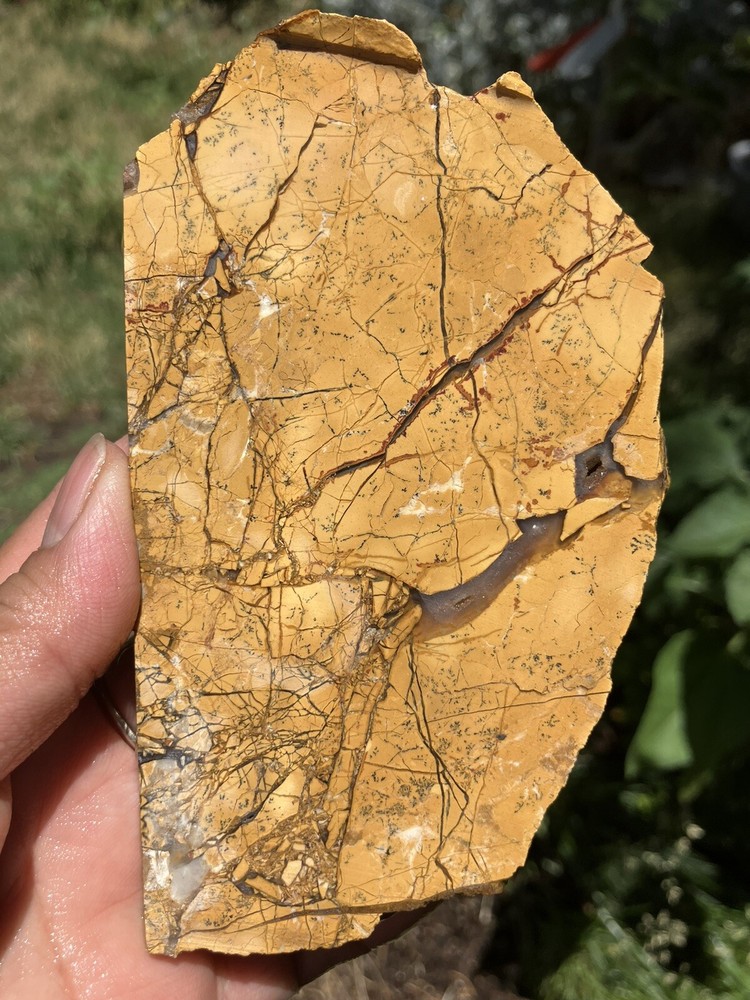 Brecciated Gold Jasper Slab