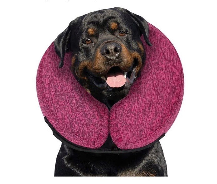 Inflatable Dog Cone Size XL