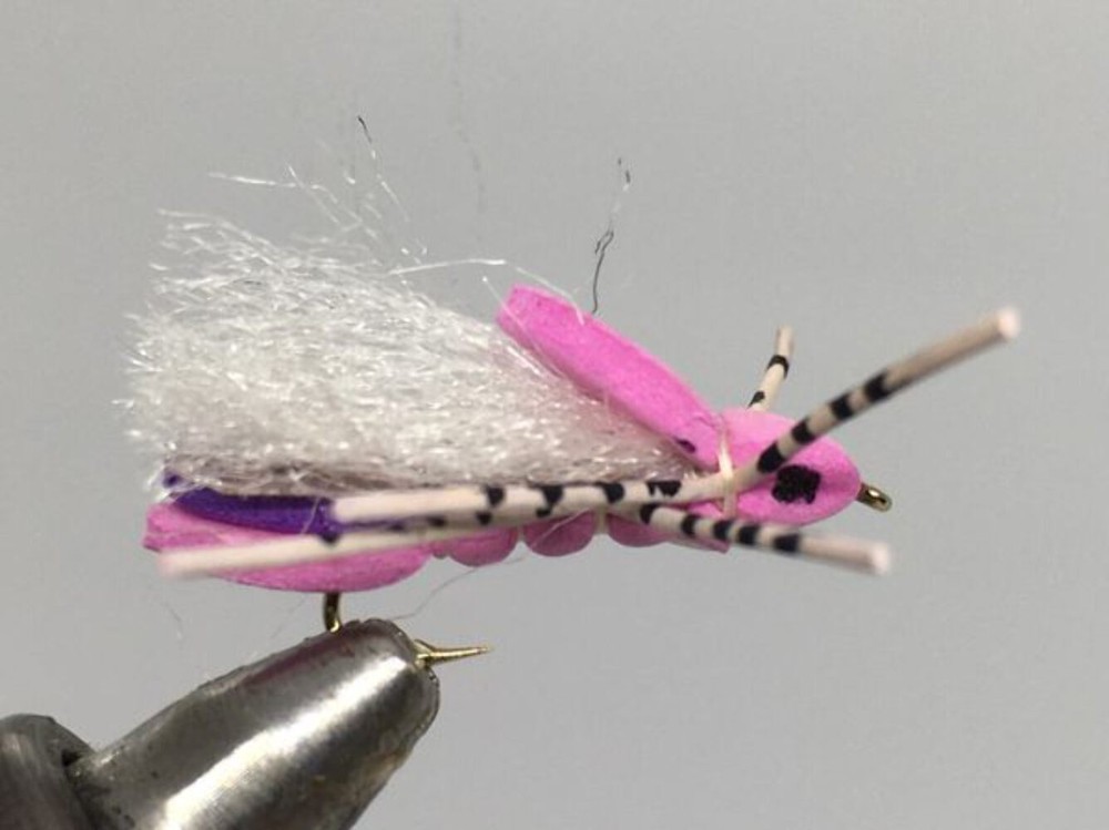 One Dozen (12) - Clod Hopper - Pink - Terrestrial