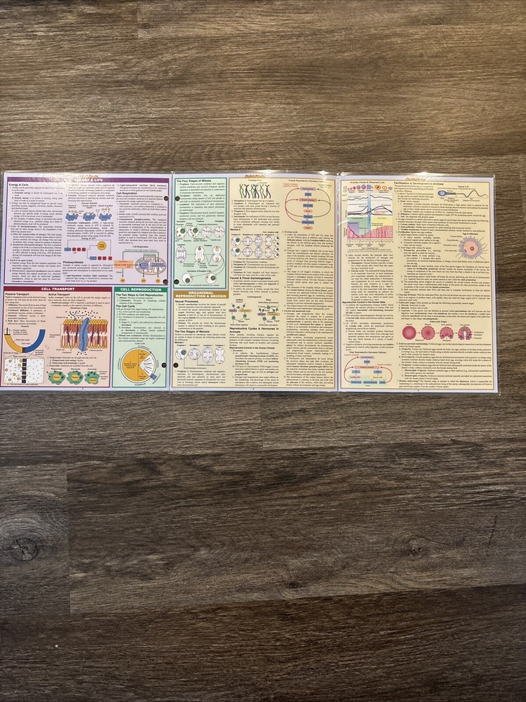 BarCharts 9781423219538 Biology Quickstudy Easel