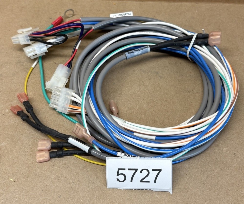 100084233 A.O. Smith - Main Wiring Harness - Discontinued
