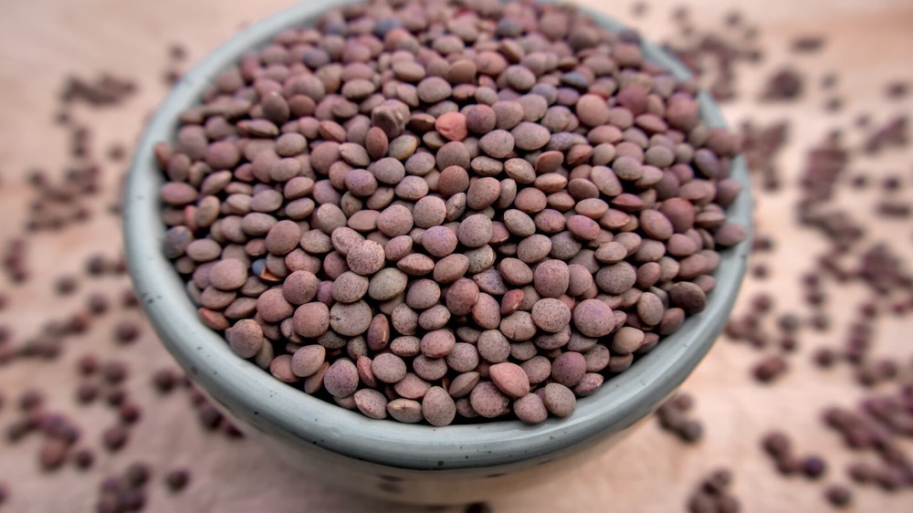 Fresh organic french green lentils by RawJoy