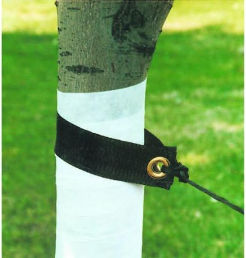 Tree Wrap, 3 In x 50 Ft