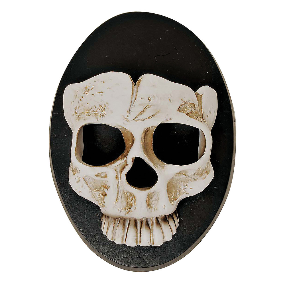 6 Skull Wall Sconce Halloween Dcor - Playboy