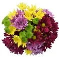 Rainbow Pom Flower Bunch Large